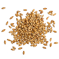 https://ramblinroad.ca/wp-content/uploads/2017/05/ingredients_transparent_03.png