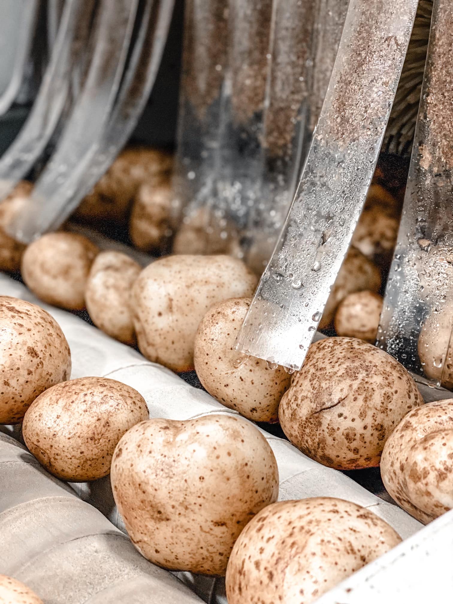 potato bath